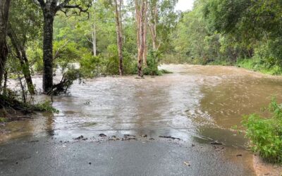 Better flood warning systems needed south of Murwillumbah