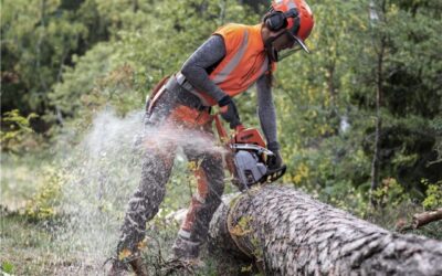 Chainsaw Workshop